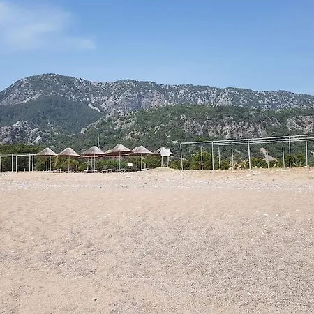 With Access To A Large Garden Near *