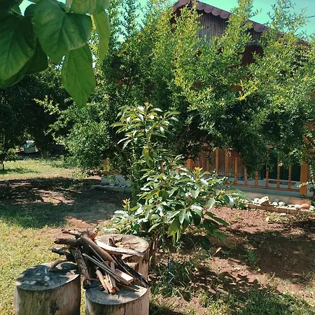 Apartment With Access To A Large Garden Near