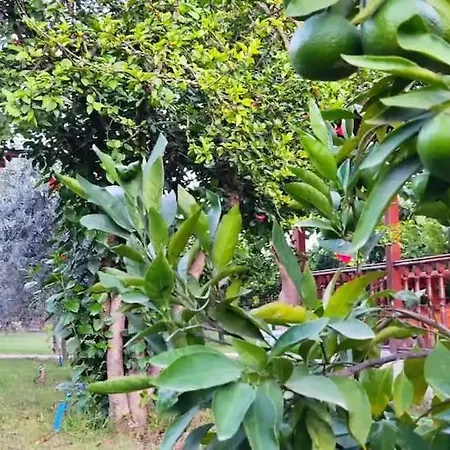 Apartment With Access To A Large Garden Near Kemer