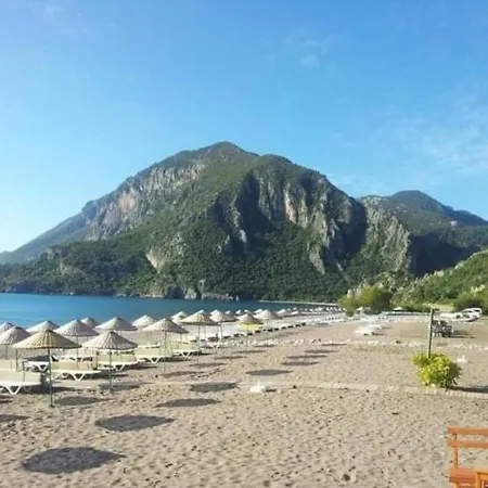 With Access To A Large Garden Near