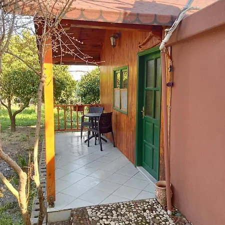 With Access To A Large Garden Near Apartment
