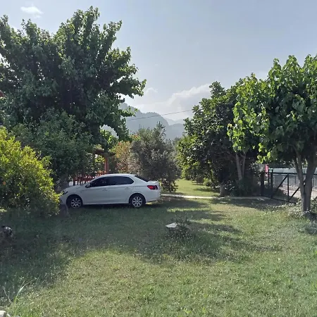 With Access To A Large Garden Near Apartment