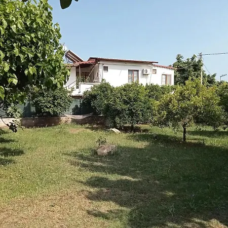 With Access To A Large Garden Near *