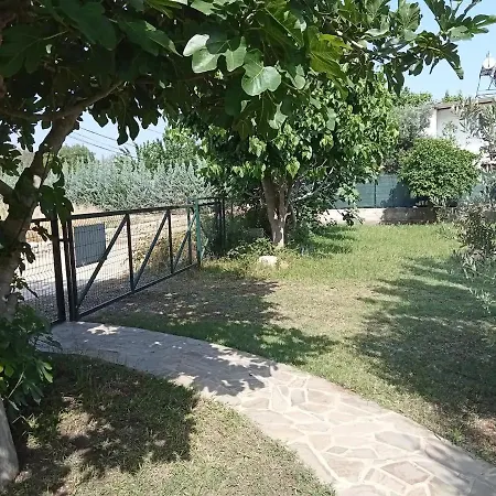 With Access To A Large Garden Near Apartment